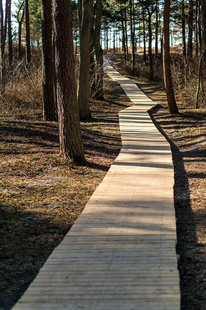 The Baltic Sea, Baltic Aesthetic, Sea Walk, Lithuania Travel, This Side Of Paradise, Seaside House, Lithuania, Baltic Sea, Summer Road Trip