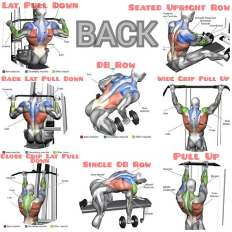 My Favorite Back Workouts Back Workout Chart, Back Workouts Machine, Printable Back Workout, Back Destroyer Workout, Gym Machine Workouts For Men, Huge Back Workout, Back Muscle Training, Mens Back Workout Gym, Back Excersice Gym Men