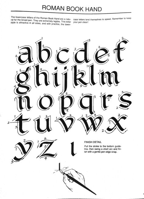 Roman Bookhand Roman Calligraphy, Cursive Handwriting Sheets, Letters Calligraphy, Roman Letters, Handwriting Sheets, Calligraphy Lessons, Brush Pen Lettering, Calligraphy Tutorial, Typography Alphabet