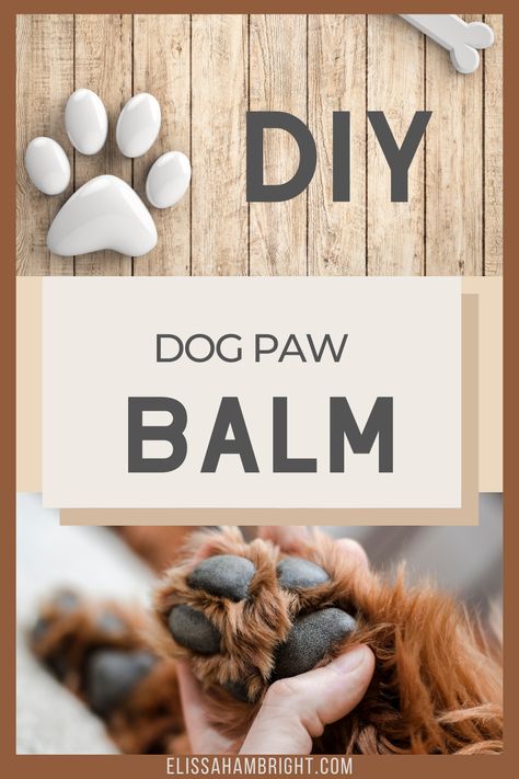 Balm For Dog Paws, Dog Paw Balm Recipe, Paw Balm For Dogs Diy, Diy Paw Balm For Dogs, Defuser Oils, Diy Dog Paw Balm, Dog Paw Salve, Dog Chewing Paws, Paw Balm For Dogs