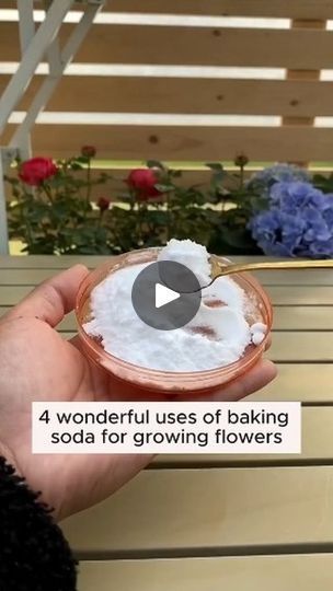 875 reactions · 388 shares | Simple gardening tips and tricks #gardening #garden #gardeningtips #gardenlife #gardeninspiration #gardenideas #gardenlove #gardendesign #gardenersofinstagram #gardenersworld #garden_styles #gardenphotography #gardenlovers #gardenerslife #gardenart #gardenbeauty #gardensofinstagram #gardenplants #gardenviews #gardenersparadise #gardenista #gardeningcommunity #gardenloversclub #gardenaddict #gardeners #gardenerslife | Amazing Garden | amazing_garden_86 · Original audio Creative Gardens, Compost Tea, Plant Tips, Plant Care Houseplant, Plant Hacks, Baking Soda Uses, Fertilizer For Plants, Diy Backyard Landscaping, Planting Ideas