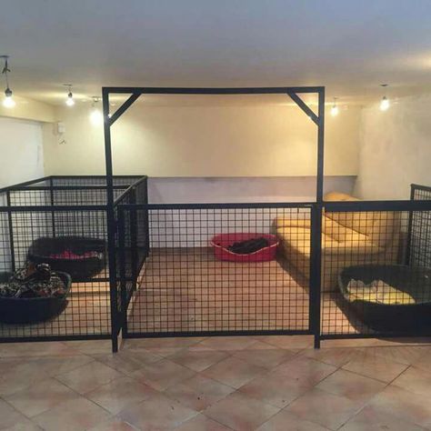 Dog Boarding Kennels, Indoor Dog Kennel, Dog Kennel Designs, Dog Bedroom, Puppy Room, Dog Kennel Cover, Diy Dog Kennel, Dog Spaces, House Garage