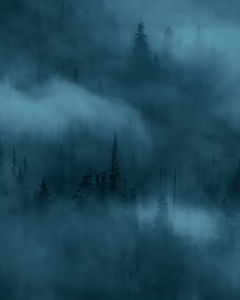 Blue Landscape Aesthetic, Blue Forest Aesthetic, Mist Aesthetic, Dark Blue Forest, Mist Wallpaper, One Dark Window, Forest Mist, Dark Window, Dark Naturalism