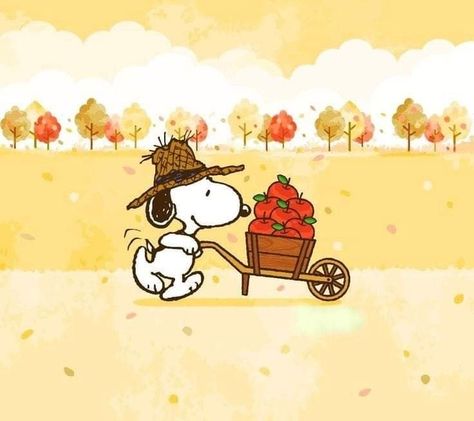 Spooky Homescreen, Peanuts Aesthetic, Snoopy October, Autumn Snoopy, Snoopy Autumn, Fall Snoopy, Halloween Homescreen, Widgets Homescreen, Fall Pfp