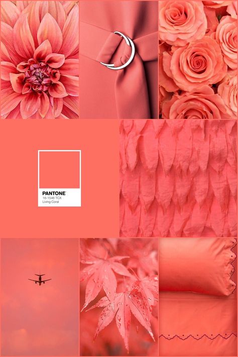 Pantone Coral Pink, Coral Pink Aesthetic Wallpaper, Living Coral Pantone, Coral Color Aesthetic, Coral Pink Aesthetic, Coral Aesthetic, Coral Color Palette, Coral Palette, Coral Pantone