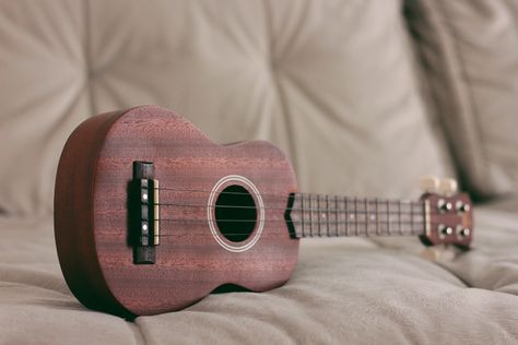 ukulele. Download this photo by Joints Creative on Unsplash Hawaiian Ukulele Songs, Ukulele Practice, Ukulele Tuning, Easy Ukulele Songs, Learning Ukulele, Hawaiian Ukulele, Adele Songs, Uke Songs, Small Guitar