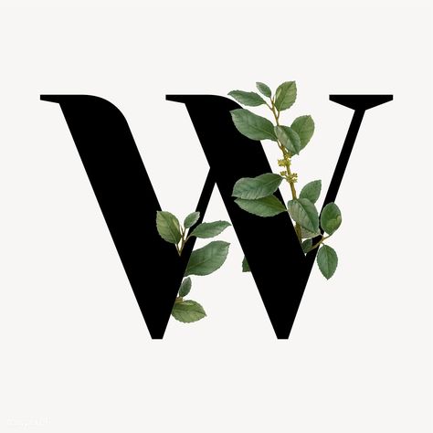 Botanical capital letter W vector | premium image by rawpixel.com / Aum / Donlaya / Kappy Kappy / manotang Sable Cake, W Letter Design, Botanical Capital Letter, Botanical Alphabet, W Letter, Design Jersey, Alfabet Letters, Aesthetic Letters, Fancy Letters