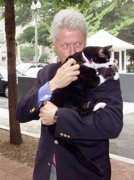 People With Cats, People And Cats, Celebrities With Cats, Men With Cats, Famous Cats, Men Love, Bill Clinton, Cat People, Cat Person