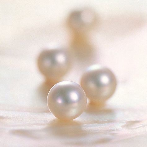 Pearls Aesthetic, Pearl Photography, Pearl Aesthetic, Pearls Photography, Photographing Jewelry, Jewelry Pearls, Cute Wallpaper For Phone, Real Pearls, Pearl Types