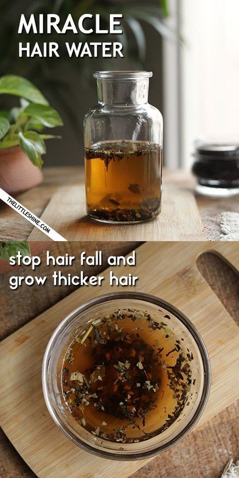 Enriched with herbs and seeds this water will help treat a lot of hair problems and also boost thicker hair growth. Make this miracle hair water at home, that Regrow Thinning Hair, Herbs For Hair Growth, Regrow Hair Naturally, Overnight Hair, Grow Thicker Hair, Homemade Hair Treatments, Thick Hair Growth, Herbs For Hair, Healthy Natural Hair Growth