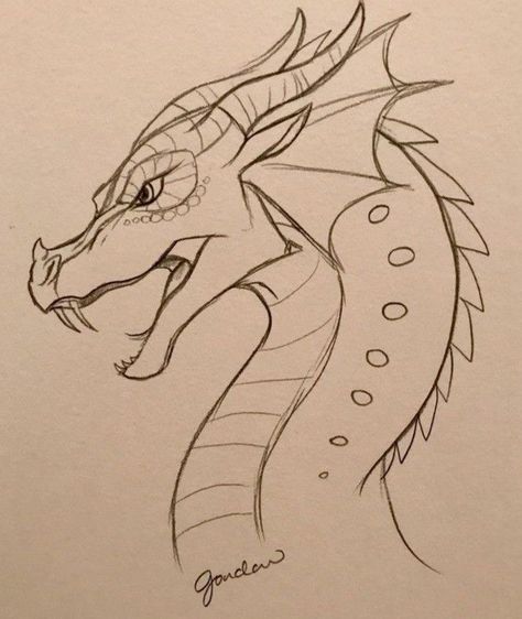 People As Cartoons, Simple Dragon Drawing, Cool Dragon Drawings, Fire Sketch, Chinese Dragon Drawing, Easy Dragon Drawings, Animal Drawings Sketches, Dragon Sketch, Fantasy Drawings