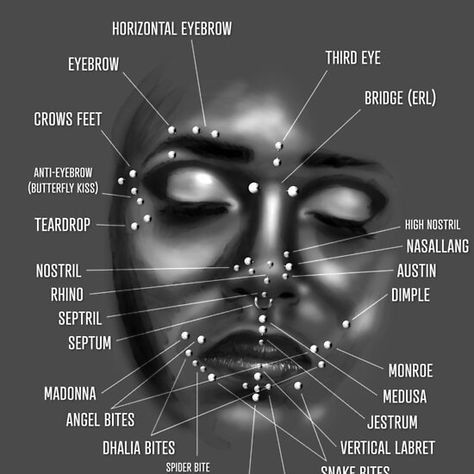 Face Piercing Chart, Black and White Piercing No Rosto, Piercings Corps, Piercing Facial, Piercings Chart, Ear Piercings Chart, Types Of Facials, Piercing Chart, Types Of Ear Piercings, Piercings Ideas