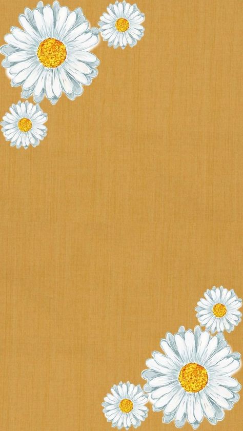 Mustard Background Aesthetic, Daisy Background Aesthetic, Daisy Background Wallpapers, Daisies Aesthetic, Aesthetic Daisy, Mustard Background, Camera Quotes, Daisy Background, Sunflower Background