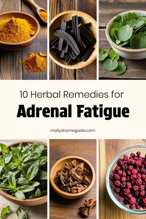 Discover natural support for adrenal fatigue with these best herbs and remedies. Explore adaptogenic herbs, herbal teas, and essential oils that may help relieve adrenal fatigue symptoms. These medicinal herbs offer adrenal support to combat low energy levels. Try DIY blends or supplements for adrenal fatigue relief. Embrace the power of nature with these effective solutions for managing adrenal fatigue in a healthy way. Herbs For Adrenal Support, Herbs For Cortisol, Adrenal Fatigue Essential Oil Blend, Herbs For Adrenal Fatigue, Medicine Herb Garden, Adrenal Fatigue Symptoms Remedies, Herbal Tinctures Recipes, Herb Remedies, Low Energy Remedies