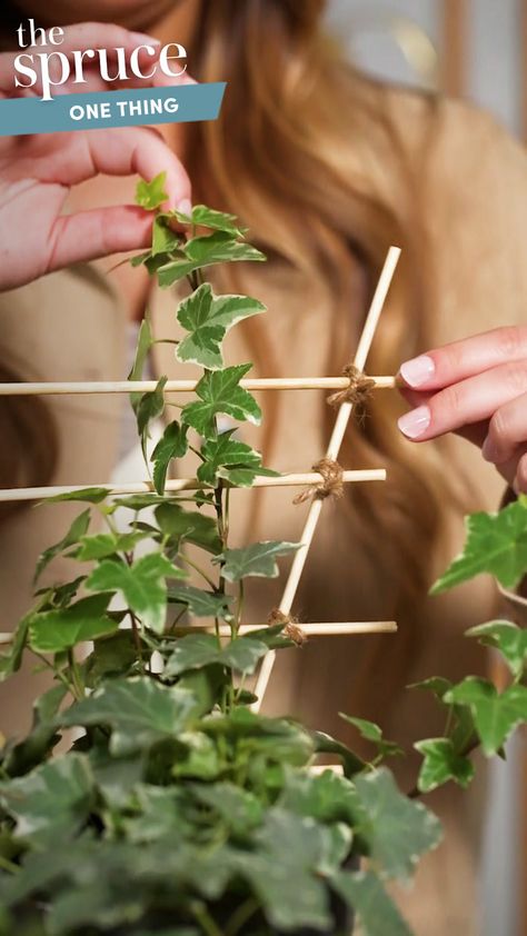 Building a trellis is an easy and affordable way to upgrade your garden. These trellis ideas can help you make your own, even on a small budget. Container Trellis Diy, Climbing Plants Trellis Ideas, Climbing Plants In Pots Trellis Ideas, Home Made Trellis Ideas, Diy Climbing Plant Support, Indoor Plant Support Ideas, Diy Mini Trellis, Diy Small Trellis For Potted Plants, Small Trellis For Pot