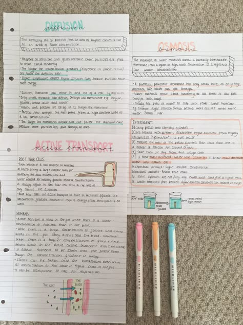 GCSE Biology: diffusion, osmosis and active transport revision notes Active Transport Notes, Diffusion Osmosis Active Transport, Biology Notes Diffusion, Osmosis Revision Notes, Gcse Notes Aesthetic, Diffusion Biology Notes, Gcse Science Revision Biology, Revise Aesthetic, Art Revision