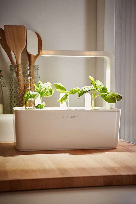 Click and Grow: A Miniature Herb Garden for a Kitchen Countertop: Gardenista Click And Grow, Herb Garden Kit, Hanging Terrarium, Types Of Herbs, Herb Farm, Herb Garden Design, Vertical Herb Garden, Garden Kit, Indoor Herb Garden