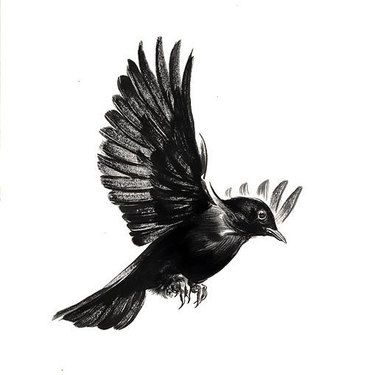 99+ Coolest Bird Tattoo Designs Herren Hand Tattoos, Tattoo Son, Fly Drawing, Vogel Tattoo, Black Bird Tattoo, Flying Bird Tattoo, Tattoo Bird, Flying Tattoo, Small Bird Tattoo