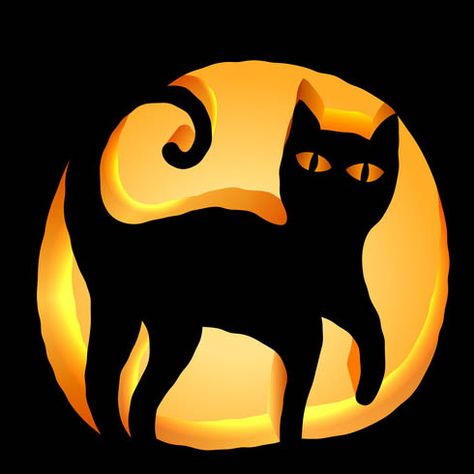 Black Cat Pumpkin Carving Stencil - Download free template Cat Pumpkin Stencil, Cat Pumpkin Carving, Pumpkin Carving Stencil, Pumpkin Stencils Free, Cute Pumpkin Carving, Pumpkin Stencils, Halloween Pumpkin Carving Stencils, Black Cat Pumpkin, Carving Stencils