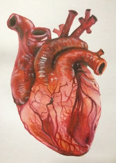 Alpha And Omega, Lino Art, Artist Working, Human Anatomy Art, Blood Art, Human Heart, Ap Art, A Level Art, Anatomy Art