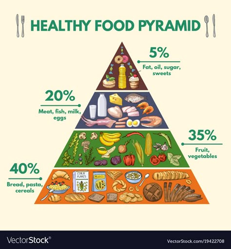 Healthy Food Pyramid, Nutrition Illustration, Pyramid Infographic, Food Pyramid Kids, Healthy Food Pictures, Nutrition Month, Food Infographic, Sport Nutrition, Food Pyramid