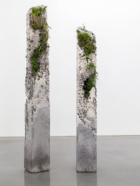 Sculptural Installations made of Concrete and Plants Jamie North, Cement Art, Concrete Sculpture, Australian Native Plants, Concrete Ideas, Concrete Crafts, Concrete Projects, Cement Crafts, Concrete Art