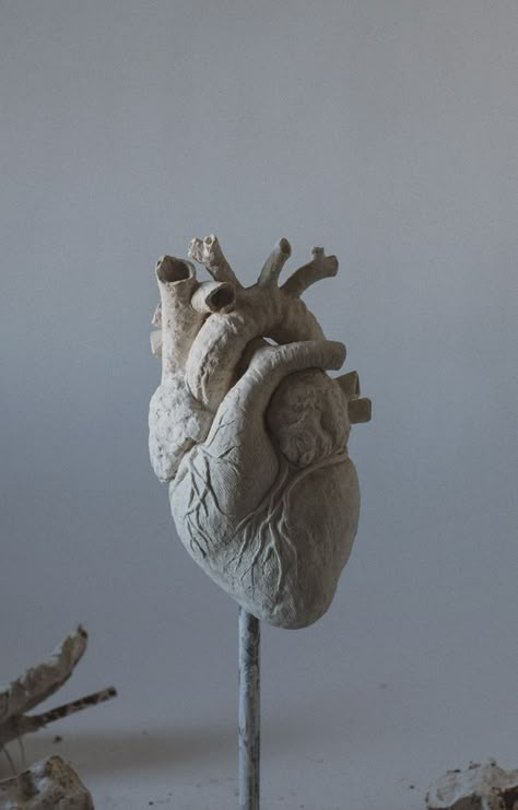 Anatomical Heart Art, Bethel Church, Bethel Music, Anatomy Sculpture, First Live, Sculpture Art Clay, Air Dry Clay Projects, Clay Crafts Air Dry, Keramik Design