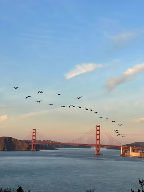 San Francisco Wallpaper, San Francisco Vacation, The Golden Gate Bridge, Us Road Trip, San Francisco Travel, California Dreamin', San Fran, Dream City, Jolie Photo