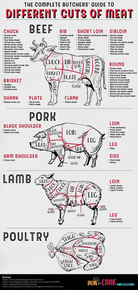 Meat Cuts Chart, Beef Cuts Chart, Hanger Steak, Tenderloin Steak, Tender Steak, Food Charts, Beef Cuts, Smoked Food Recipes, Cooking Basics