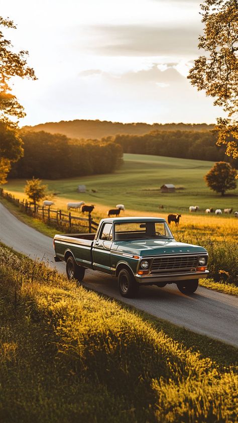 Classic green Ford truck driving on a scenic country road at sunset with cows grazing in the background. 1957 Ford Truck, 1950 Gmc Truck, Chevy Trucks Aesthetic, Old Ford Ranger, Vintage Truck Photoshoot, Dentside Ford, 1970 Cars, Ford 1979, Old Truck Photography