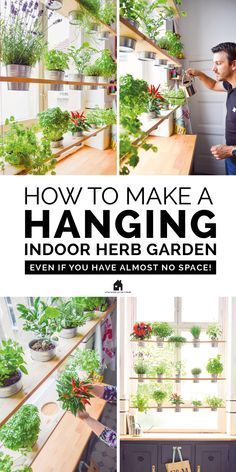 Small Herb Garden Ideas Indoor, Small Herb Greenhouse, Garden In An Apartment, Diy Hanging Herb Garden Indoor, Floating Shelves Herb Garden, Diy Kitchen Herb Garden, Kitchen Herb Garden Shelf, Herbs In Apartment, Herb Garden In Kitchen Small Spaces