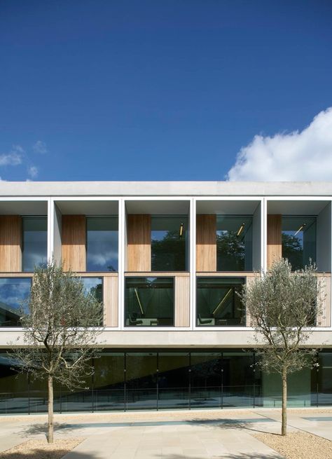 Gallery of Sainsbury Laboratory / Stanton Williams - 9 Stanton Williams, Architecture Gallery, Cambridge Uk, Student House, Hotel Architecture, Social Housing, Building Facade, Architecture Exterior, Facade Architecture