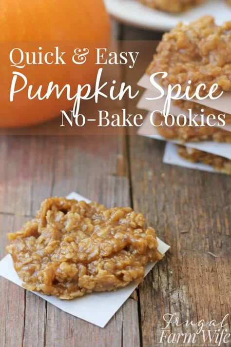 Pumpkin No Bake Cookies, Pumpkin No Bake, Pumpkin Spice Cookies, Peanut Butter Pumpkin, Pumpkin Recipes Dessert, Everything Pumpkin, Pumpkin Everything, Spice Cookies, Bake Cookies