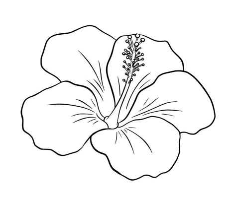 Hibiscus Flower Stencil, Hibiscus Drawing Simple, Hibiscus Flower Tattoo Stencil, Hibiscus Tattoo Stencil, Hibiscus Flower Drawing Simple, Hawaiian Hibiscus Tattoo, Hibiscus Outline, Hibiscus Tattoo Design, Printable Tattoo Designs