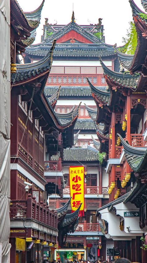 Shanghai to Suzhou Day trip? Why you should plan longer in Suzhou Shanghai China Travel, Asian City, China Travel Guide, China Shanghai, Explore China, China Culture, Visit China, Frozen Chicken, Chongqing