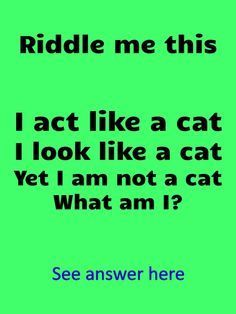 Kids Riddles With Answers, Riddles For Kids With Answers, Funny Brain Teasers, Best Brain Teasers, Funny Riddles With Answers, Hard Riddles With Answers, Tricky Riddles With Answers, What Am I Riddles, Brain Teasers For Adults