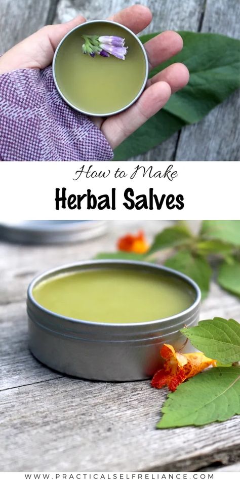 How to Make a Herbal Healing Salve Homemade Salve Recipes, Herbal Salve Recipes, Healing Salve Recipe, Homemade Salve, Medicinal Wild Plants, Healing Salve, Herbal Remedies Recipes, Salve Recipes, Herbal Salves