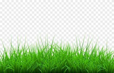 Paper Texture Background Design, Cartoon Grass, Grass Png, Grass Vector, Green Grass Background, Grass Background, Photoshop Backgrounds Free, Green Screen Background Images, Doodle Images