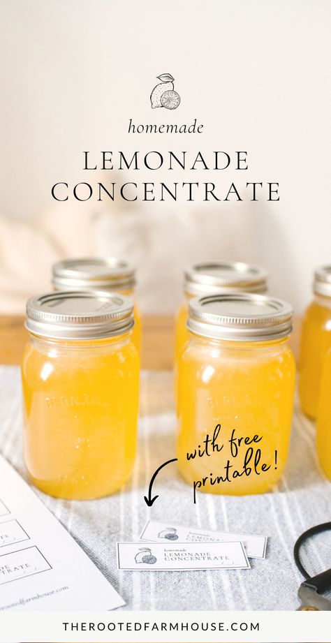 If you love fresh lemonade on a hot summer day, this recipe is for you! This delicious homemade lemonade concentrate is made from two simple ingredients, lemon juice, and sugar! Lemonaid Recipe, Homemade Lemonade Concentrate, Lemonade Concentrate Recipe, Lemonade Simple Syrup, Fresh Lemon Recipes, Fresh Lemonade Recipe, Dehydrator Recipes Fruit, Lemon Juice Recipes, Diy Lemonade