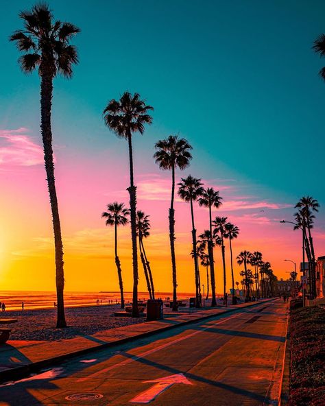 Picture Of A Picture, West Coast Vibes, Daniel Silva, Good Wallpapers, City View Apartment, Aesthetic Wall Collage, Cool Background, Venice Beach California, Los Angles