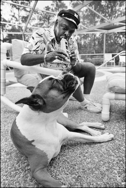 Count Basie At Home American Jazz and Swing musician Count Basie (born Willian Basie, 1904 - 1984) plays a melodica, accompanied by his bulldog Graf, as they sit poolside at his home, Freeport, Bahamas, March 1979. (Photo by Chuck Fishman/Getty Images) Freeport Bahamas, Jazz Pianist, Throwback Photos, Count Basie, Jazz Artists, Old School Music, Jazz Musicians, Rhythm And Blues, African Diaspora