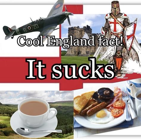 British Slander, British People, Silly Goofy, Reaction Images, Silly Me, Really Funny Pictures, Haha Funny, Funny Me, Reaction Pics