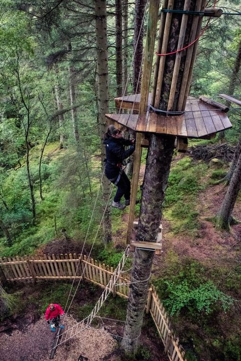 Tree Top Adventure, Centre Parcs, Camp America, Centre Parks, Go Ape, Center Parcs, Center Park, Dream Live, Camping Aesthetic