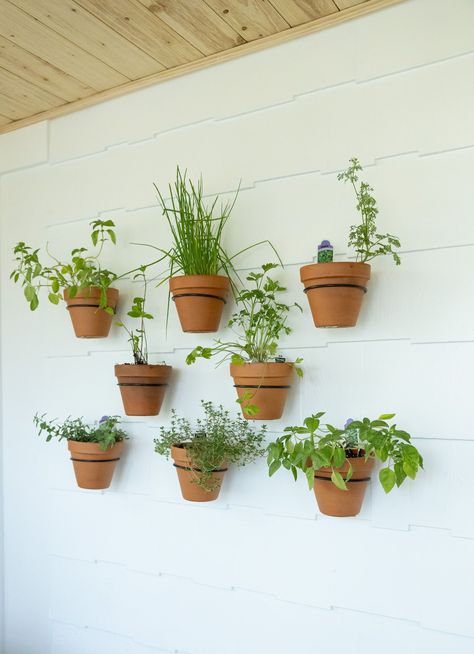 Living Plant Wall, Teracotta Pots, Garden Pagoda, Outdoor Potted Plants, Herb Garden Wall, Sunroom Kitchen, Food Photography Studio, Herb Garden Pots, Composition Tips