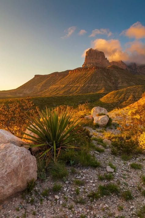 Texas Aesthetic, Connect With Nature, West Texas, Big Bend, Lone Star State, Texas Usa, Lone Star, Usa Travel, To Miss