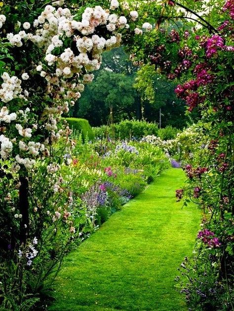 Mooie tuin met rozen, buxus en gras Longwood Gardens, English Country Gardens, Cottage Gardens, Home Garden Design, Gorgeous Gardens, Green Garden, Garden Cottage, Country Gardening, Garden Gates