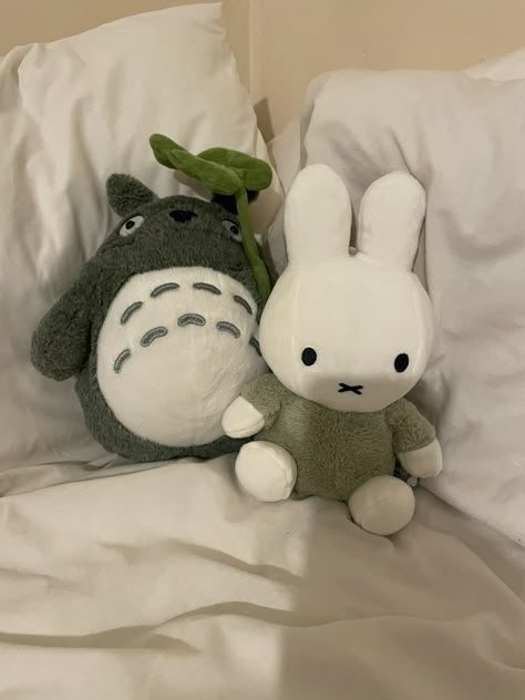 miffy and totoro Totoro Plush, Cute Stuffed Animals, Cute Little Things, Cute Plush, الرسومات اللطيفة, Softies, 귀여운 동물, Cash On Delivery, Studio Ghibli