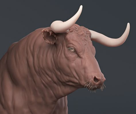 ArtStation - Bull study Practicing Anatomy, Bull Artwork, Zbrush Models, African Buffalo, Longhorn Cattle, Digital Sculpting, Beef Cattle, Animal Anatomy, Anatomy Study