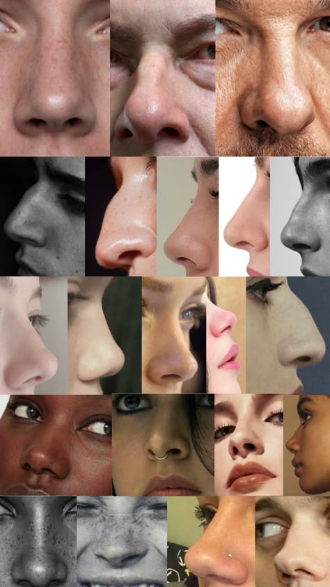 Reference material, real photos, noses Nose Sketch Practice, Nose Types Reference, Nose Art Reference Photo, Nose Art Study, Human Nose Reference, Nose Refrences Drawings, Nose Angles Reference Photo, Woman With Hooked Nose, Different Nose Drawing