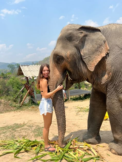 #thailand #elephant #traveltheworld #animalsnature Sri Lanka Elephants, Krabi Elephant Sanctuary, Elephant Riding Thailand, Elephant Sanctuary Phuket, Elephant Sanctuary Bali, Elephant Sanctuary Outfit, Elephant Sanctuary Thailand Outfit, Thailand Elephant Sanctuary, Elephants In Thailand